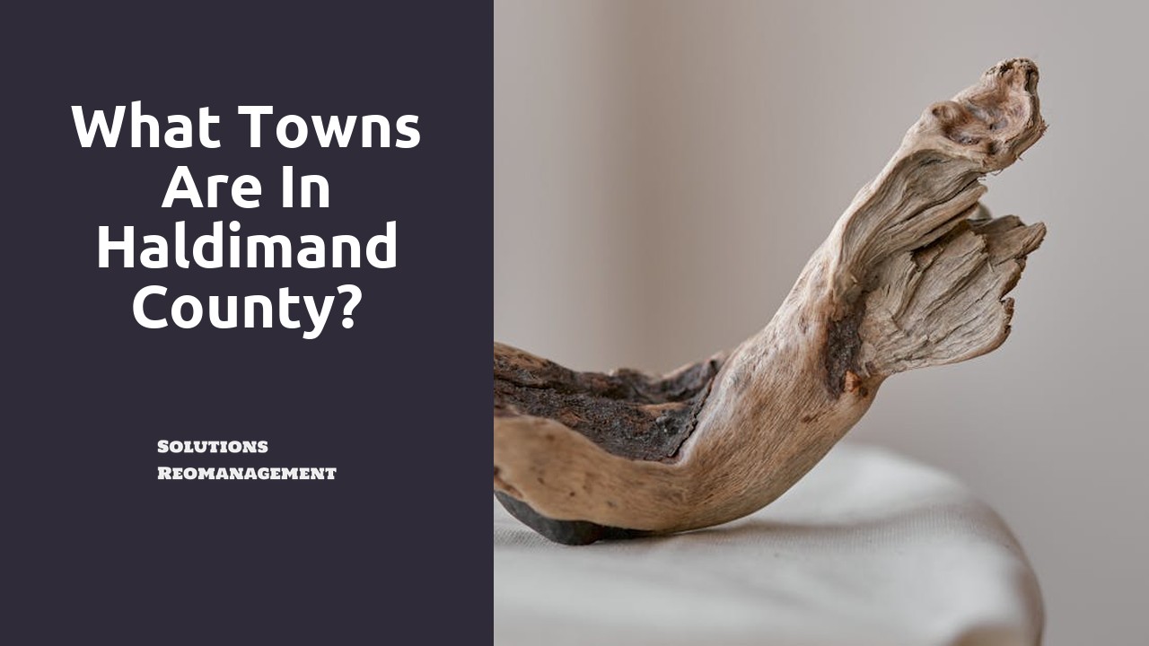 What towns are in Haldimand County?